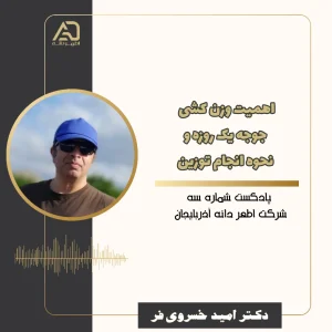 اهمیت وزن کشی جوجه یک روه و نحوه انجام توزین